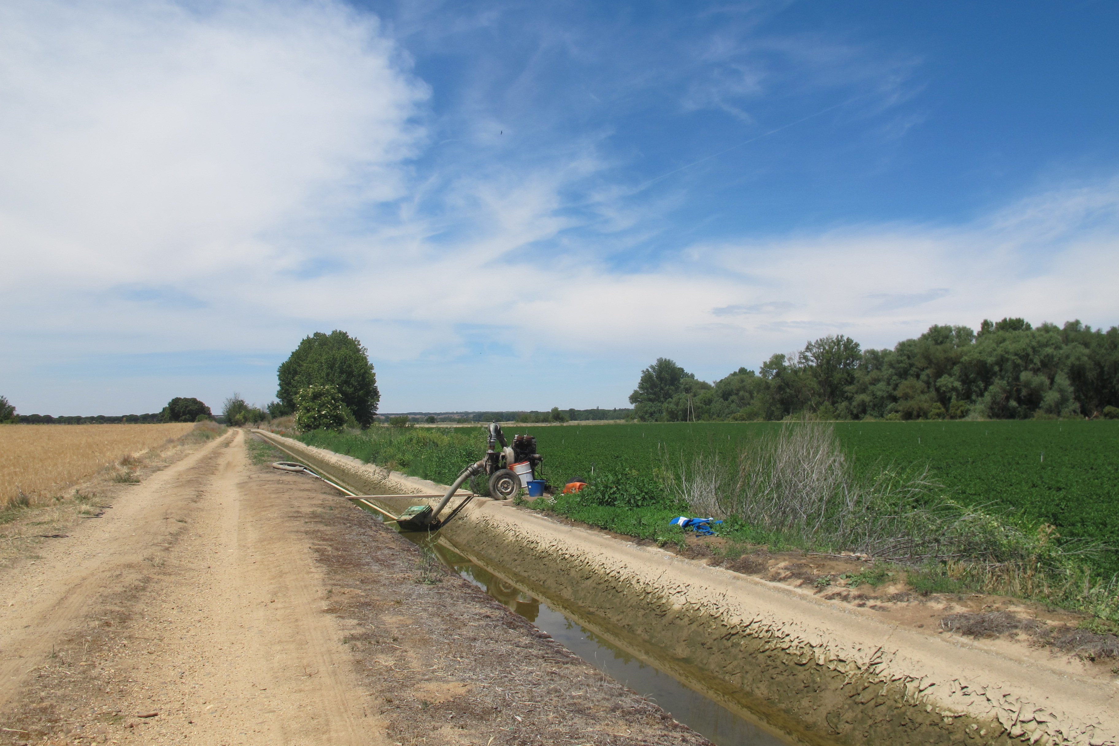 MODERNIZACIÓN DEL REGADÍO DEL CANAL DE POLLOS (SEIASA)